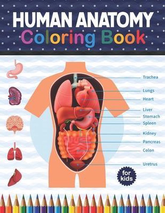 Human Anatomy Coloring Book For Kids - cover