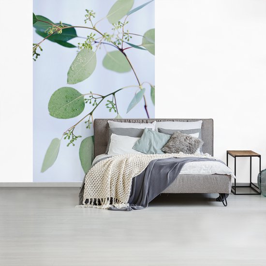 Papier peint Papier peint photo en vinyle - Branches d'eucalyptus avec feuilles largeur 190 cm x hauteur 280 cm - Tirage photo sur papier peint (disponible en 7 tailles)