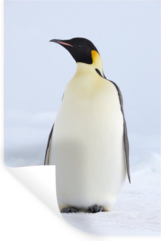 Stickers muraux - Manchot empereur - 60x90 cm - Feuille adhésive