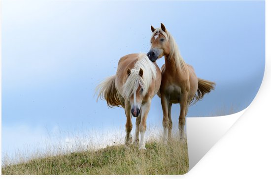 Muurstickers - Sticker Folie - Haflinger paarden in het weiland - 90x60 cm - Plakfolie - Muurstickers Kinderkamer - Zelfklevend Behang - Zelfklevend behangpapier - Stickerfolie