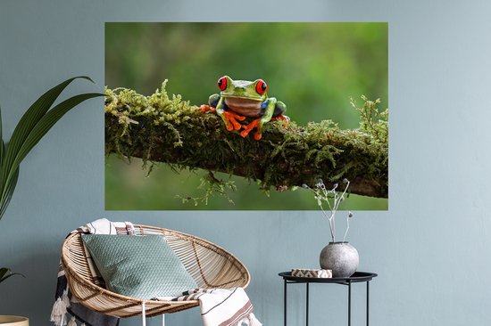 Stickers Stickers muraux - Grenouille aux yeux rouges sur une branche couverte - 90x60 cm - Film adhésif