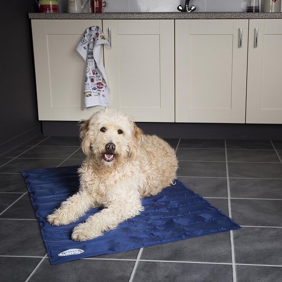 Coolpets Premium Koelmat L 90 x 60 cm
