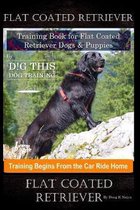 Flat Coated Retriever Training Book for Flat Coated Retriever Dogs & Puppies By D!G THIS DOG Training, Training Begins from the Car Ride Home, Flat Coated Retriever