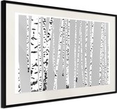 Poster - Birch Wood -30x20