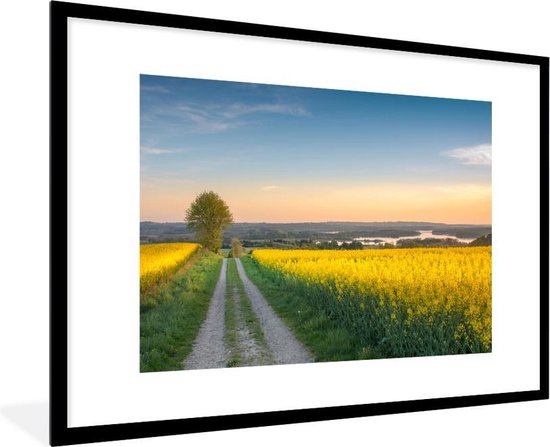 Chemin à travers une prairie fleurie à fleurs jaunes 90x60 cm