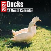 Calendar 2021 Ducks