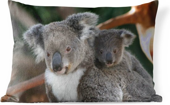 Buitenkussens - Tuin - Een koala vader en zoon - 50x30 cm