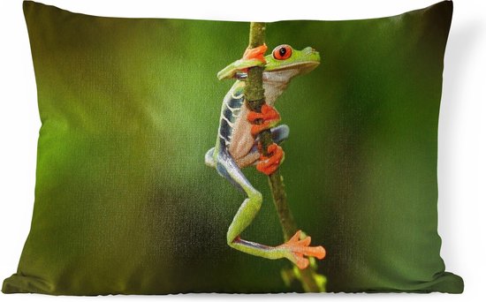 Sierkussen de la jungle pour l'intérieur - Grenouille aux yeux rouges dans la jungle - 60x40 cm - Coussin intérieur rectangulaire en coton