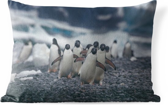 Buitenkussens - Tuin - Adelie pinguïns op het strand - 60x40 cm