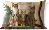 Buitenkussens - Tuin - Drie katten op kleine tafel - 50x30 cm