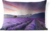 Coussins d'extérieur - Jardin - Coucher de soleil sur lavandes - 60x40 cm