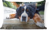Buitenkussens - Tuin - Schaduwrijke Bernese Sennenhond - 60x40 cm