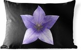 Buitenkussens - Tuin - Paarse bloem met sterrenvorm op zwarte achtergrond - 60x40 cm
