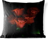 Buitenkussens - Tuin - Rode rozen op zwarte achtergrond - 40x40 cm