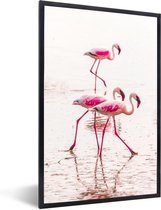 Fotolijst incl. Poster - Roze flamingo's in het water bij Kenia - 20x30 cm - Posterlijst