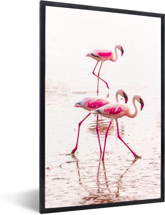 Fotolijst incl. Poster - Roze flamingo's in het water bij Kenia - Posterlijst