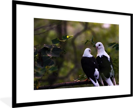 Peer Misbruik terwijl Foto in lijst - Twee vogels op een tak fotolijst zwart met witte passe  partout 80x120... | bol.com