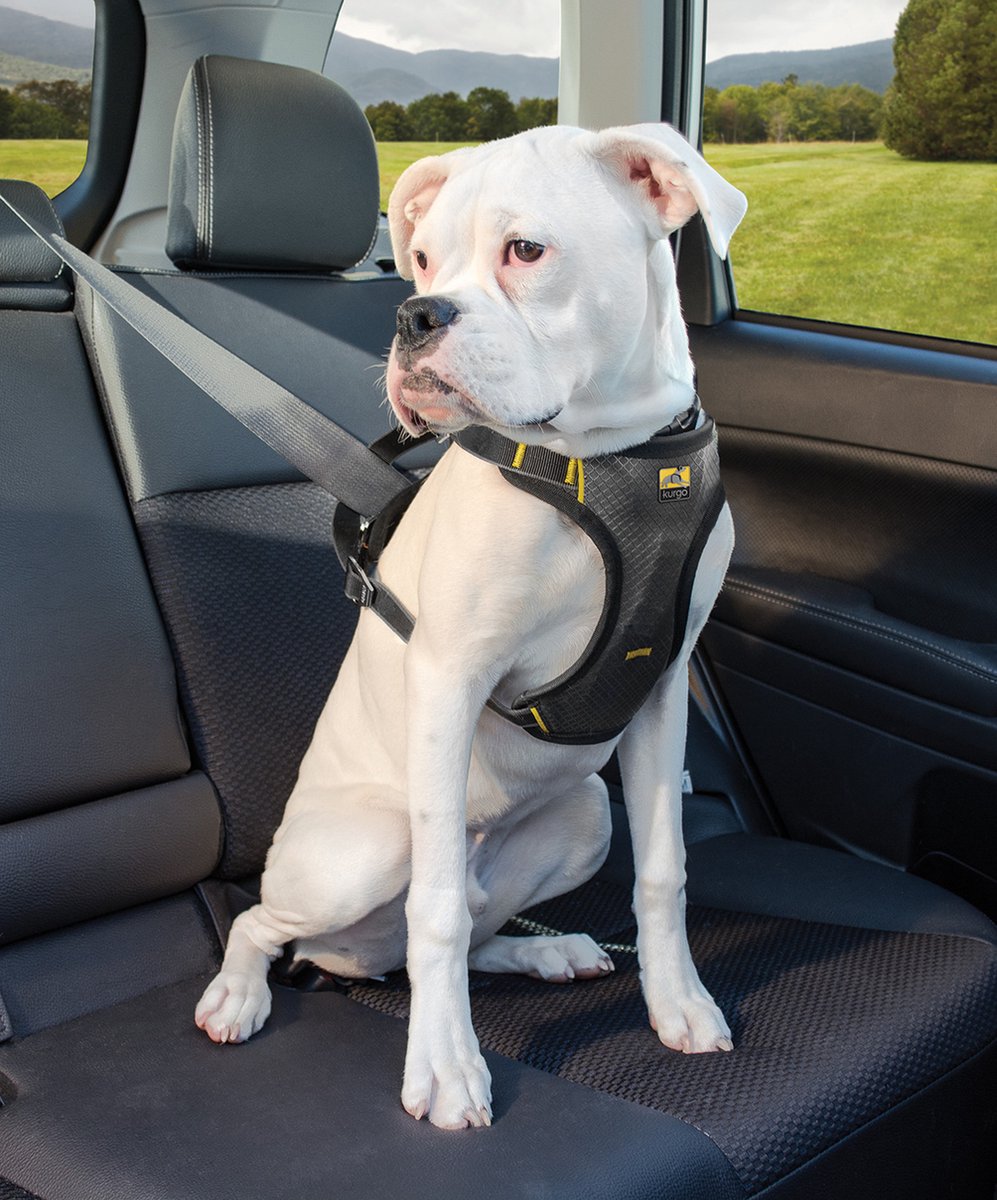 Pawaboo Laisse De Sécurité De Chien Pour Voiture, Ceinture De Sécurité