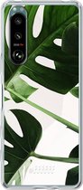 6F hoesje - geschikt voor Sony Xperia 5 III -  Transparant TPU Case - Tropical Plants #ffffff