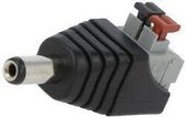 DC-Plug met Veerklem Aansluiting 2.1mm (Male)