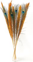 Pampasgras Oranje | Pampas pluimen Oranje | Pampas pluimen Oranje gedroogd | 5 Rietpluimen Oranje gecombineerd met 5 stuks pauwenveren| Droogbloemen | 80 cm | 10 stuks