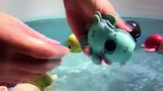 Speeltje Octopus voor in het water