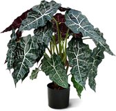 Alocasia kunstplant 75cm