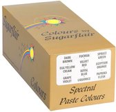 Sugarflair Paste Colours Collection Set van 10 Kleuren - Voedselkleurstof