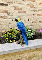 Papegaai op stam middel blauw levensecht 39 cm hoog - polyester - polystone - beeld - tuinbeeld - hoogkwalitatieve kunststof - decoratiefiguur - interieur - accessoire - voor binne