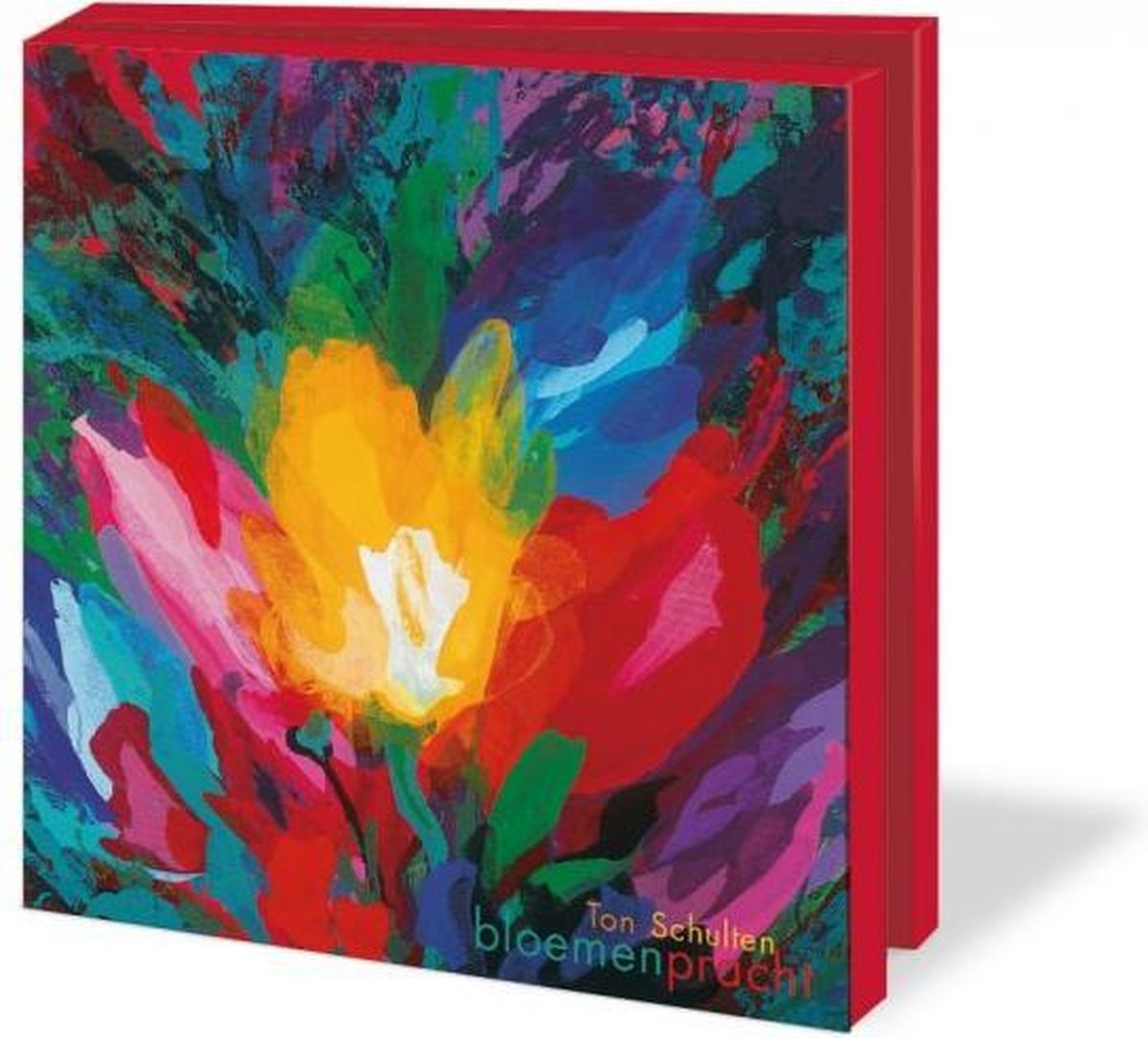 Bekking & Blitz - Wenskaartenmapje - Set wenskaarten - Kunstkaarten - Museumkaarten - 10 stuks - Inclusief enveloppen - Bloemen - Ontluikende tulpen - Ton Schulten