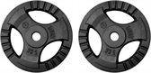 halterschijven - gewichten - 2X5kg - 10kg - plates - loads - fitness - krachttraining