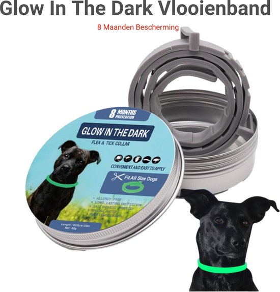 DommAr Glow In The Dark Teken en Vlooienband Hond - Veiligheid - Beschermend - Anti Teken - Anti Muggen - Anti Vlooien