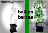 3 klimrekken voor planten - klimsteun - plantenklimrek punt 1250 mm lang met pot en waterschotel