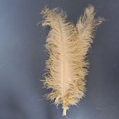 Struisvogel veren 5 stuks - goud beige 45 - 60 cm - decoratieve veren
