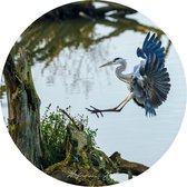 Muursticker Reiger -Ø 80 cm