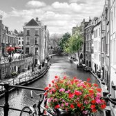 JJ-Art (Aluminium) | De Oudegracht, Oude gracht in Utrecht met bloemen en bomen in zwart wit met steunkeuren | Nederland, vierkant, stad | Foto-Schilderij print op Dibond / Alumini