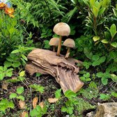 Stand Mushroom On root S1 - 22 cm hoog - paddenstoelen - gedroogd wortelhout - exotische teak - uniek - natuurlijk en handgemaakt - voor binnen en buiten - interieurdecoratie - tuinbeeld - he