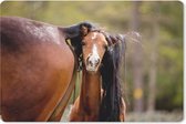 Muismat Paarden  - Veulen die zich onder de staart van haar moeder verstopt muismat rubber - 27x18 cm - Muismat met foto