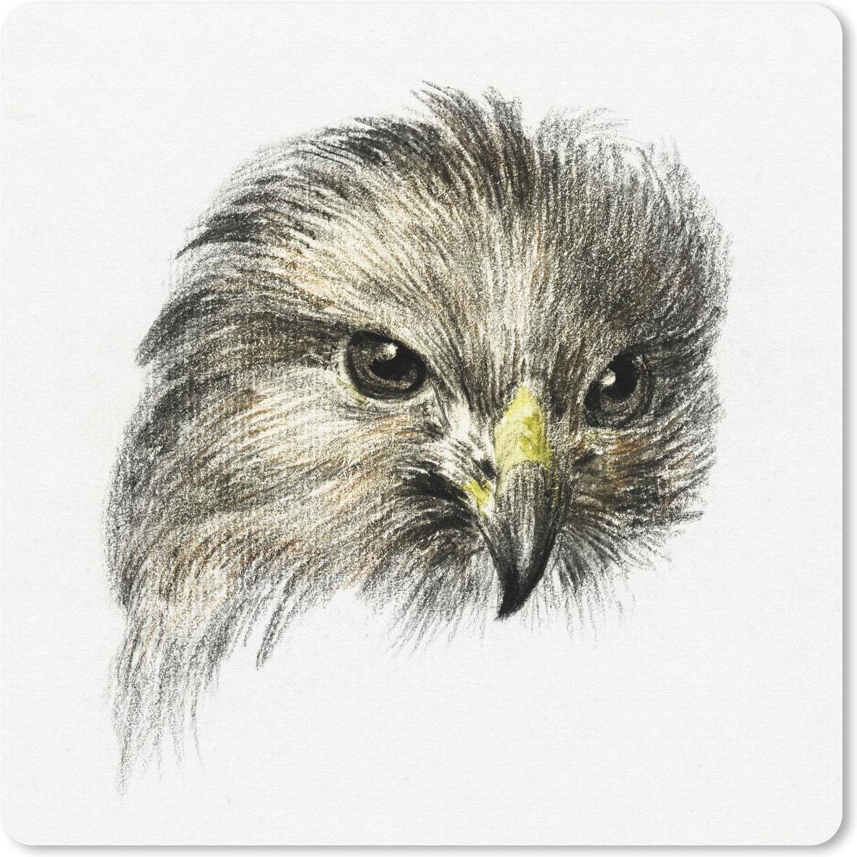 Muismat 30x30 cm - Mousepad Kop van een roofvogel - schilderij van Jean Bernard - Muismatten