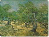 Muismat Vincent van Gogh 2 - Olijfgaard - Schilderij van Vincent van Gogh muismat rubber - 23x19 cm - Muismat met foto