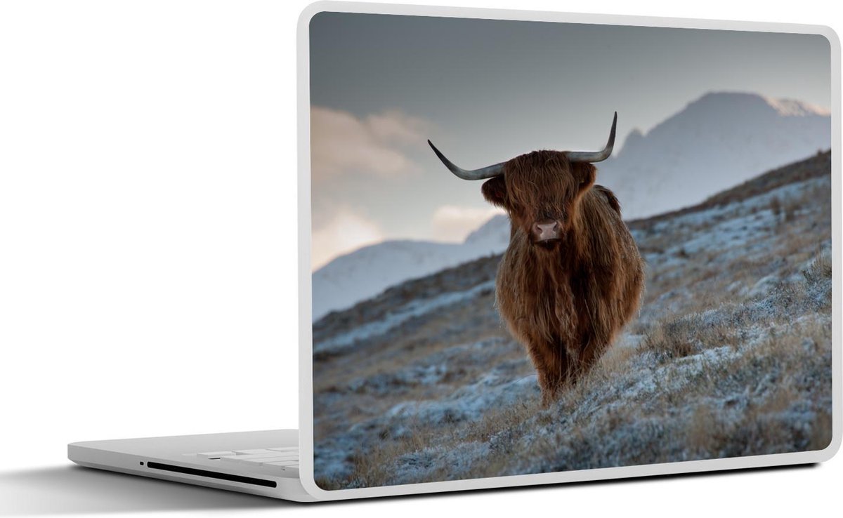 Afbeelding van product SleevesAndCases  Laptop sticker - 15.6 inch - Schotse hooglander - Landschap - Schotland