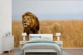Papier peint - Papier peint photo Lions - Herbe - Afrique - Largeur 390 cm x hauteur 260 cm