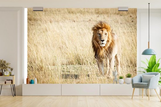 Papier Peint - Papier peint photo Lions - Afrique - Herbe - Largeur 360 cm x Hauteur 240 cm