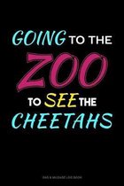 Going To The Zoo To See The Cheetahs