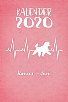 Kalender 2020