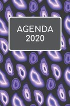 Agenda 2020