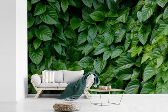 Papier peint Papier peint photo en vinyle - Feuilles vertes largeur 330 cm x hauteur 220 cm - Tirage photo sur papier peint (disponible en 7 tailles)