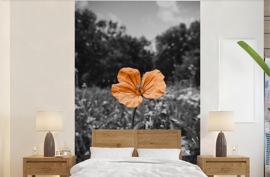 Papier peint - Papiers Papier peint photo Fleurs - Zwart - Wit - Oranje - Largeur 225 cm x Hauteur 350 cm