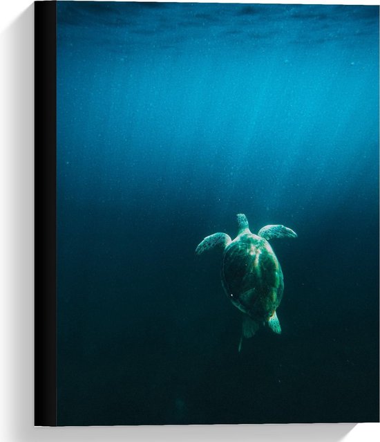 Canvas  - Wegzwemmende Zeeschildpad - 30x40cm Foto op Canvas Schilderij (Wanddecoratie op Canvas)