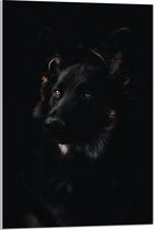 Acrylglas - Hond - 60x90cm Foto op Acrylglas (Wanddecoratie op Acrylglas)